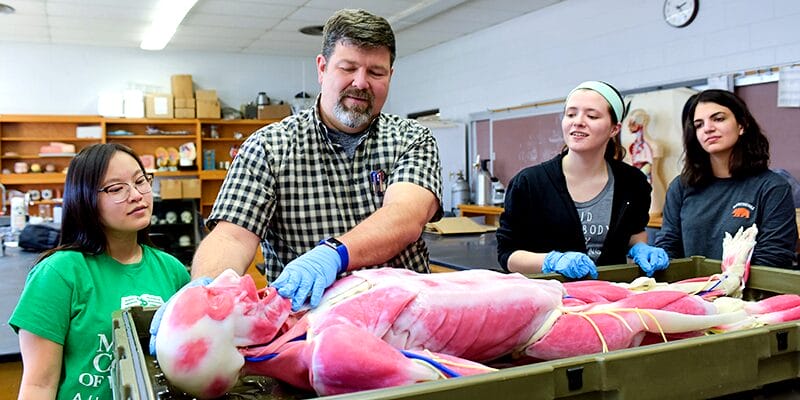 BiologyProfessorStudents Header