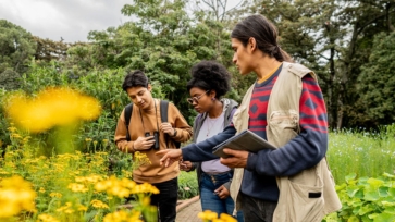 Environmental Studies featured image