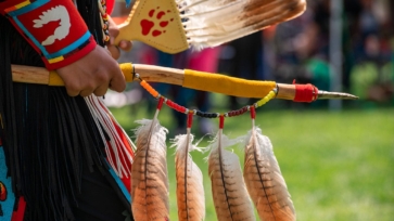 Native American Studies featured image