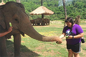 Layna feeding an elephant.