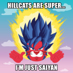 Hillcats are super... I'm just saiyan