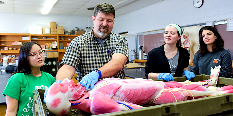 Professor teaching students with anatomy manequin