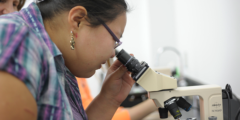 Girl looking into microscope