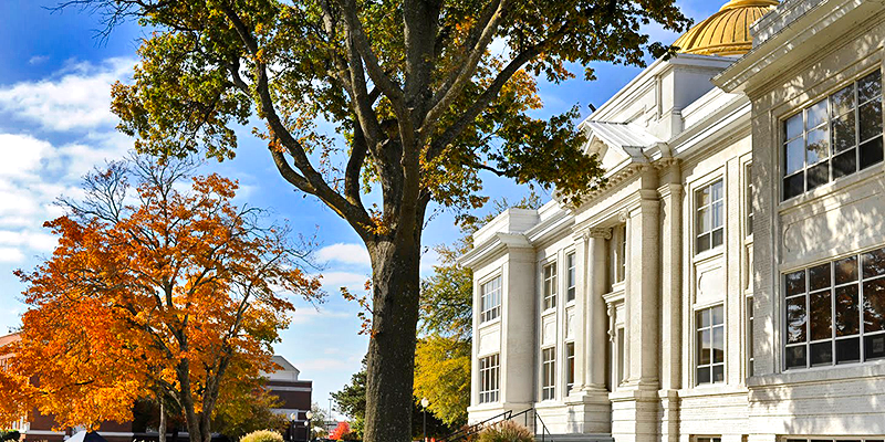 fall trees and white building