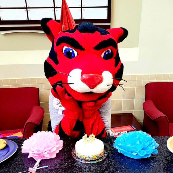 cat mascot with birthday hat and cake