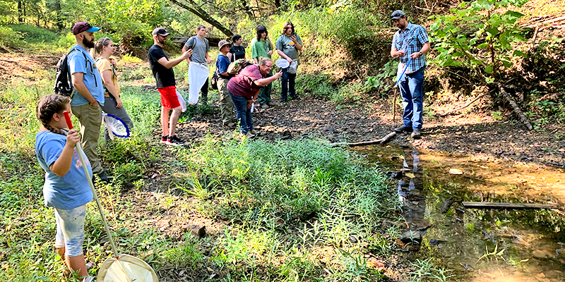 students in the field learning about reptiles and amphibians