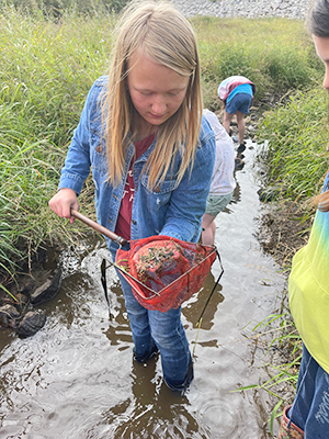 girl looking at bugs from creek