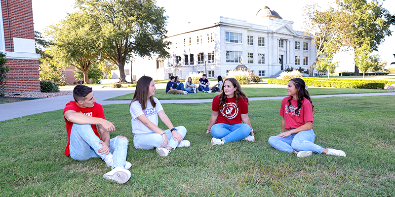 students sitting on the lawn of college campus