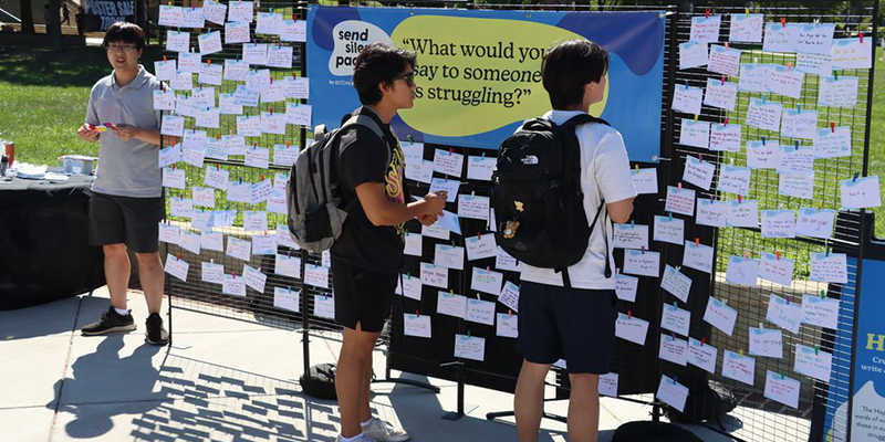 Students looking at a wall of notes