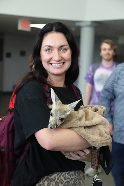 A smiling girl holds a baby kangaroo