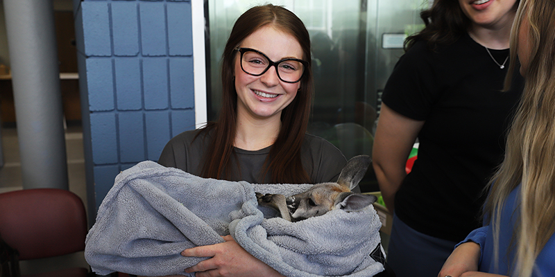 A smiling girl holds a baby kangaroo